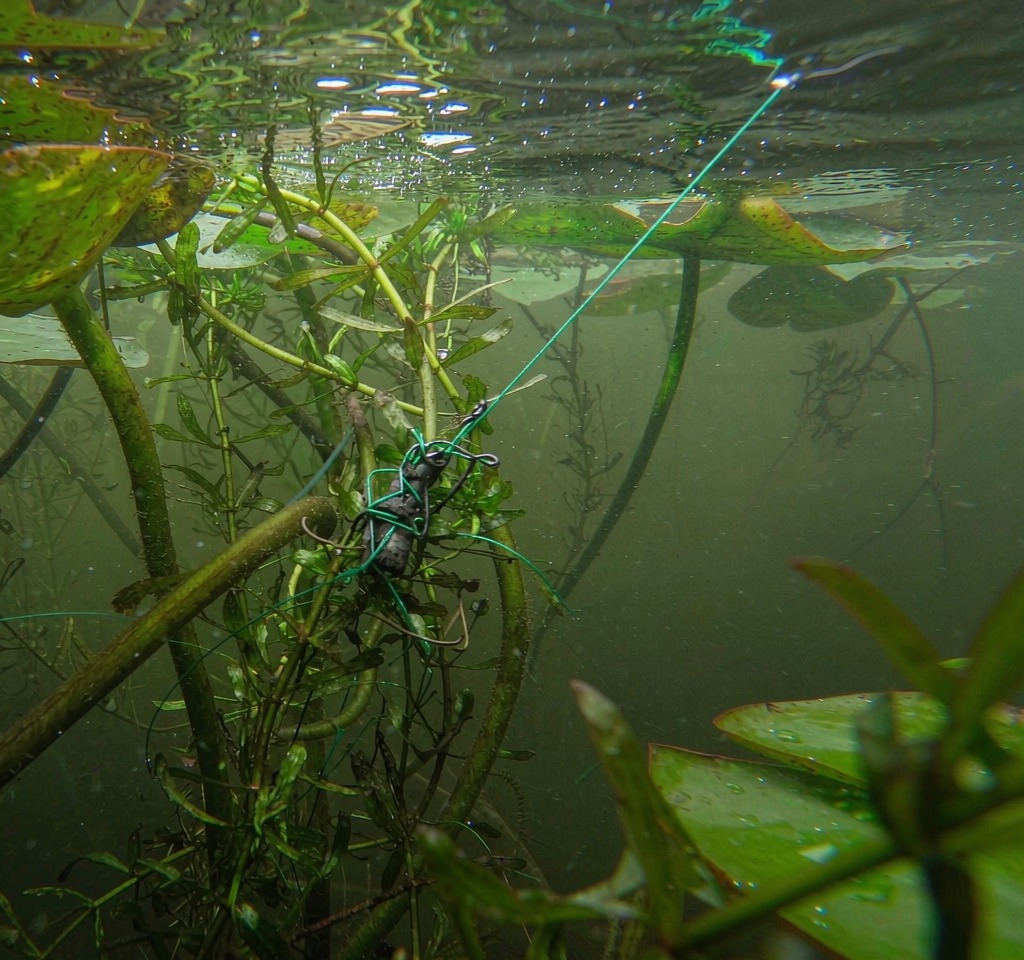 A conventional rig snagged in a dense hydrilla and lily pad mat